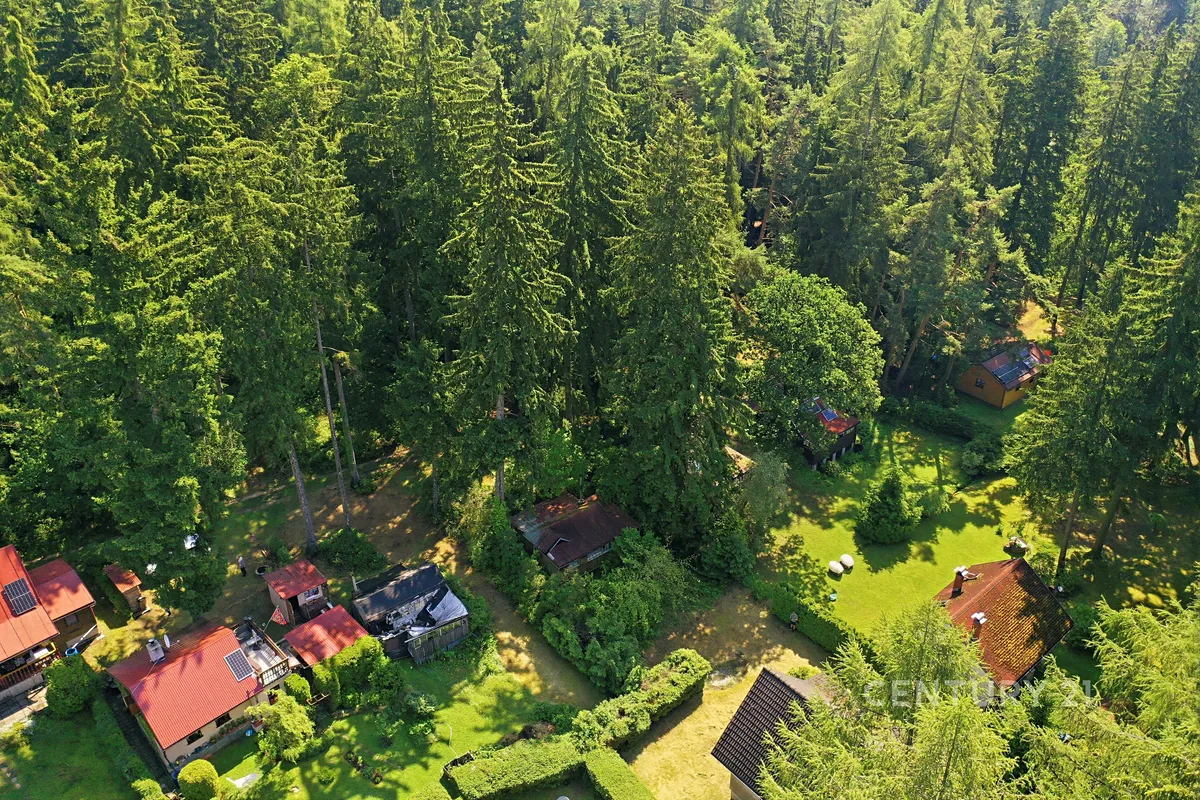 Fotka 10 z 12